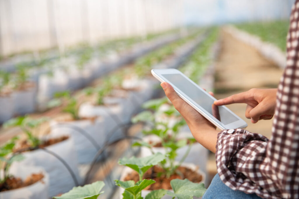 Veja as tecnologias do agronegócio que impulsionam o setor