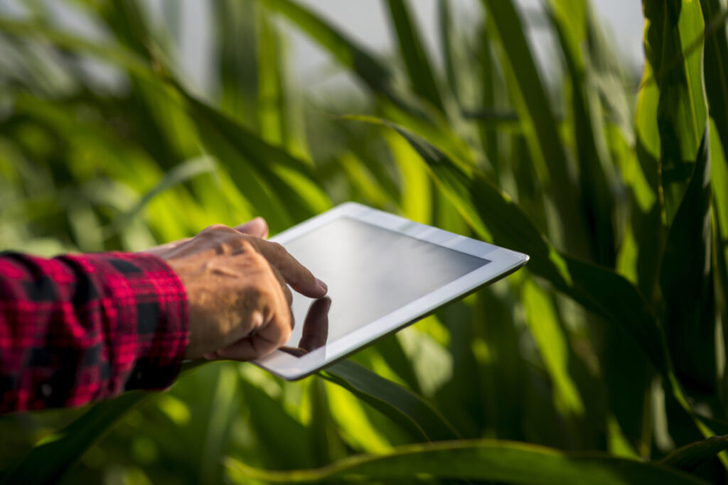 Conheça as aplicações da inteligência artificial no agronegócio